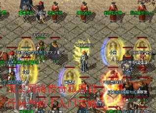 �������紫��˽�����а����������Ź���