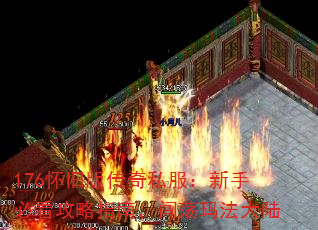 176���ɰ洫��˽�������ֱؿ�����ָ�ϣ������귨��½