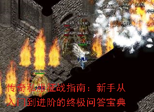 ����˽����սָ�ϣ����ִ����ŵ����׵��ռ��ʴ𱦵�