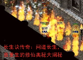 ���������棺�ʵ��������Ƽ����������ɰ��ش����