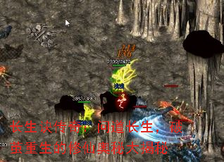 ���������棺�ʵ��������Ƽ����������ɰ��ش����
