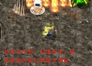 ���������棺�ʵ��������Ƽ����������ɰ��ش����