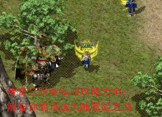 ������ְҵ˽�����Դ�ȫ���������귨��½ð��֮·