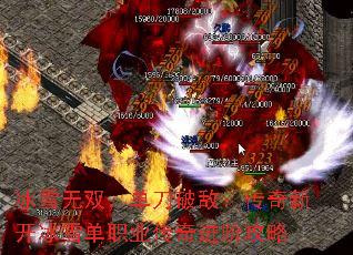 ��ѩ��˫�������ƵУ������¿���ѩ��ְҵ������׹���