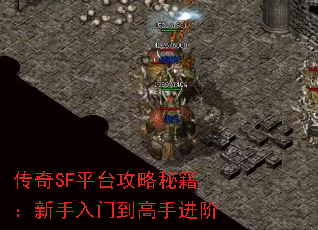 ����SFƽ̨�����ؼ����������ŵ����ֽ���