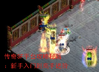 ����SFƽ̨�����ؼ����������ŵ����ֽ���