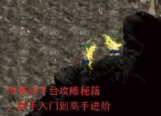 ����SFƽ̨�����ؼ����������ŵ����ֽ���
