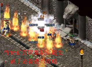 �����¿�����ְҵ���䣺���ֱر����׹���