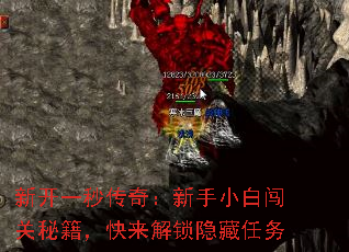 �¿�һ�봫�棺����С�״����ؼ�������������������