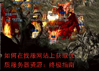如何在找服网站上获取优质服务器资源:终极指南 如何在找服网站上获取优质服务器资源:终极指南