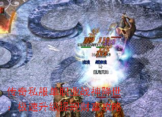 ����˽����ְҵս�����������������ֲƸ�����