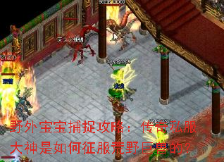 Ұ�ⱦ����׽���ԣ�����˽�����������������Ұ���޵ģ�