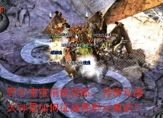 Ұ�ⱦ����׽���ԣ�����˽�����������������Ұ���޵ģ�
