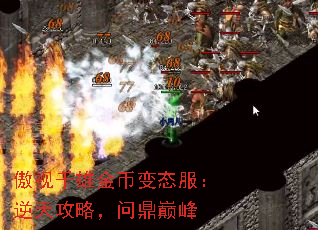 傲视千雄金币变态服:逆天攻略,问鼎巅峰 傲视千雄金币变态服:逆天攻略,问鼎巅峰