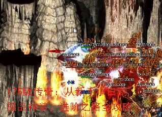175�洫�棺������С�׵���Ʒ��װ������֮·ȫ����