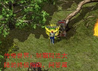 �������磺�ư��귨��½���ռ�ָ�ϣ��ʴ�ƪ