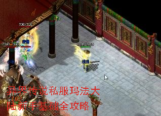 ��紫˵˽���귨��½���ֻ���ȫ����