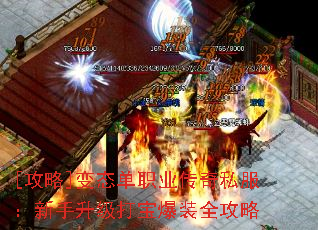 [����]��̬��ְҵ����˽�������������򱦱�װȫ����