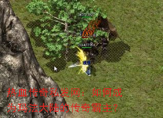 ��Ѫ����˽��������γ�Ϊ�귨��½�Ĵ��������