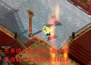 无英雄传奇私服必备攻略:征服玛法之路的终极秘籍 无英雄传奇私服必备攻略:征服玛法之路的终极秘籍