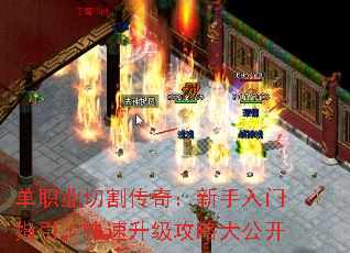 ��ְҵ�и�棺��������ָ���������������Դ󹫿�