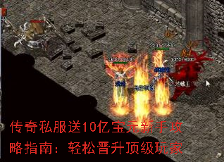 ����˽����10�ڱ�Ԫ���ֹ���ָ�ϣ����ɽ����������