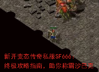 �¿���̬����˽��SF666���ռ�����ָ�ϣ�����ư�ɳ�Ϳ�
