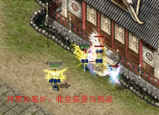 传奇私服SF:收益前景与挑战 传奇私服SF:收益前景与挑战