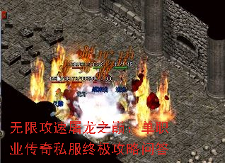 ���޹�������֮�ۣ���ְҵ����˽���ռ������ʴ�