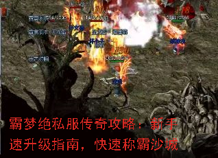 ���ξ�˽�����湥�ԣ�����������ָ�ϣ����ٳư�ɳ��