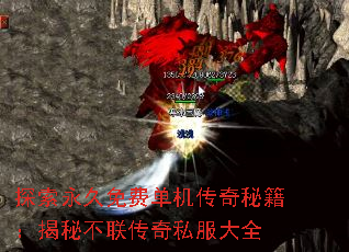 ̽��������ѵ��������ؼ������ز�������˽����ȫ