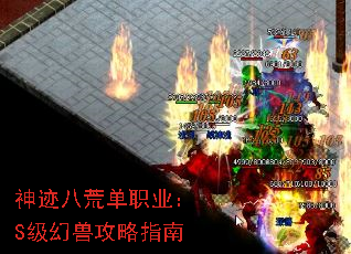 �񼣰˻ĵ�ְҵ��S�����޹���ָ��