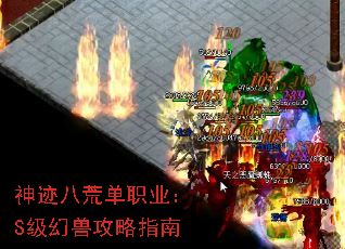 �񼣰˻ĵ�ְҵ��S�����޹���ָ��