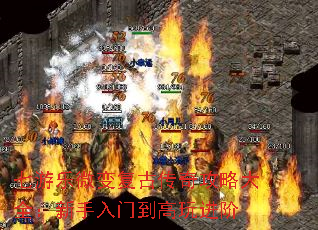 ������΢�临�Ŵ��湥�Դ�ȫ���������ŵ��������
