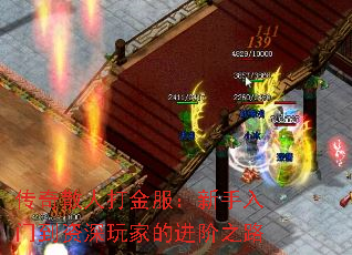 ����ɢ�˴������������ŵ�������ҵĽ���֮·