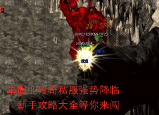 ��ְҵ����˽��ǿ�ƽ��٣����ֹ��Դ�ȫ��������