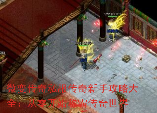 ΢�䴫��˽���������ֹ��Դ�ȫ�����㿪ʼ�ưԴ�������
