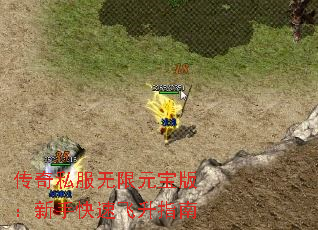 ����˽������Ԫ���棺���ֿ��ٷ���ָ��