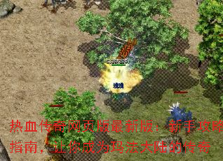 ��Ѫ������ҳ�����°棺���ֹ���ָ�ϣ������Ϊ�귨��½�Ĵ���