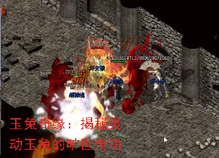 ������Ե�������鶯���õĿ����湦