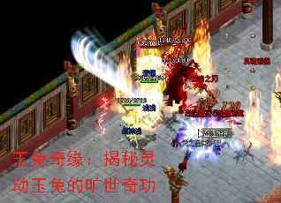 ������Ե�������鶯���õĿ����湦