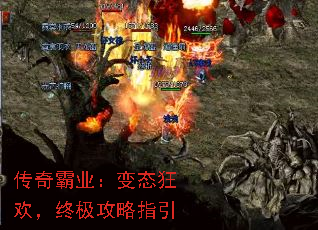 �����ҵ����̬�񻶣��ռ�����ָ��