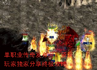 ��ְҵ���淢������������Ҷ��ҷ����ռ�����