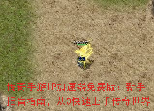 ��������IP��������Ѱ棺����ɨäָ�ϣ���0�������ִ�������