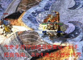 ��������IP��������Ѱ棺����ɨäָ�ϣ���0�������ִ�������