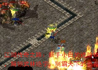 江湖传奇之路:新手小白的进阶攻略秘籍,解锁武林绝学,制霸天下的必备指南 江湖传奇之路:新手小白的进阶攻略秘籍,解锁武林绝学,制霸天下的必备指南