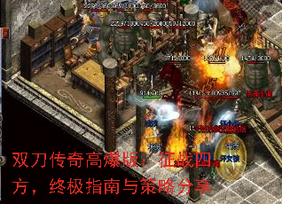 ˫������߱��棺��ս�ķ����ռ�ָ������Է���