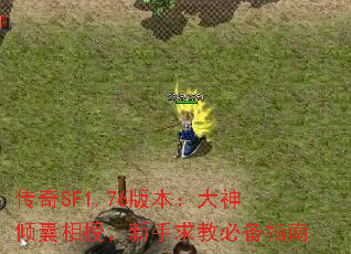����SF1.76�汾�������������ڣ�������̱ر�ָ��