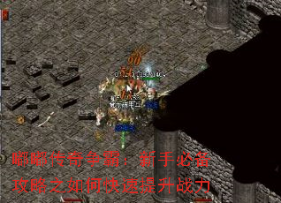 嘟嘟传奇争霸:新手必备攻略之如何快速提升战力 嘟嘟传奇争霸:新手必备攻略之如何快速提升战力