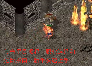 ����ƽ������ְҵѡ��ͽ���ָ�ϣ����ֿ�������